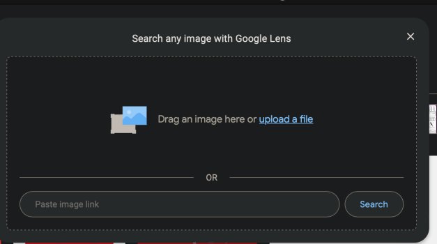 google lens.jpg