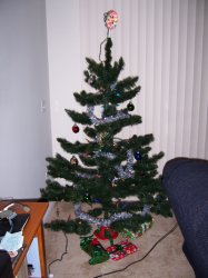 Tree01.jpg