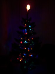 Tree02.jpg
