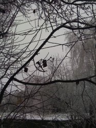 winter 005.jpg