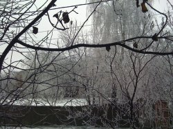 winter 003.jpg