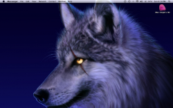 Picture 1.png
