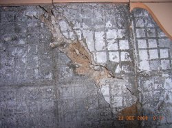 RIMG0023.JPG