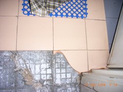 RIMG0024.JPG