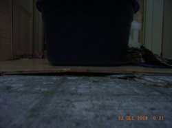 RIMG0028.JPG