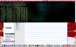 terminal.jpg