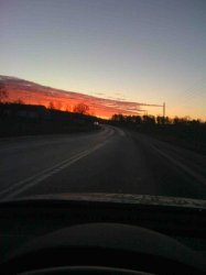 Photo_1.JPG