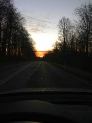 Photo_3.JPG