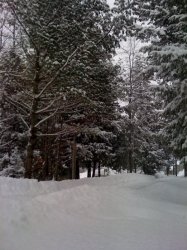 photo(3).jpg