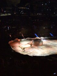 IMG_0049.jpg