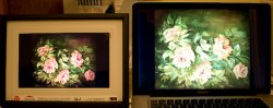 screens-1.jpg