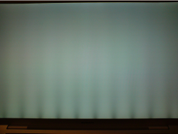 Picture 25.png