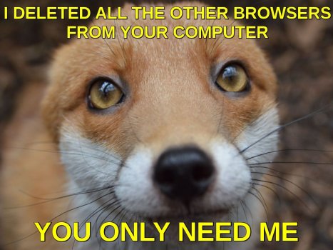 1701368174070.jpeg