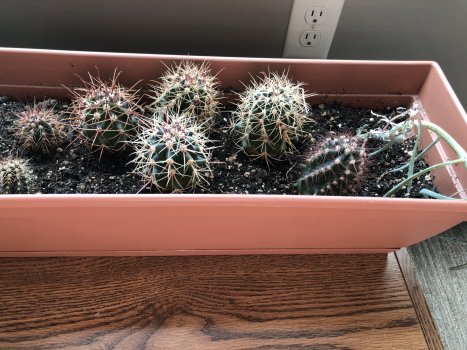 iPhone-X_C010.jpg