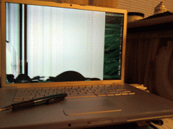 laptop-pen.gif