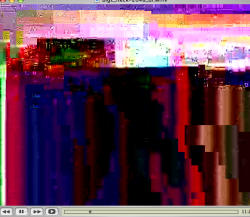 Picture 1.png