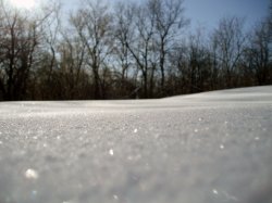 Jan-Snow.jpg
