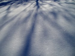 Jan-Snow2.jpg