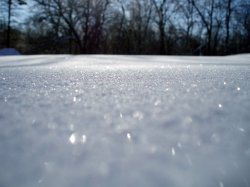 Jan-Snow3.jpg