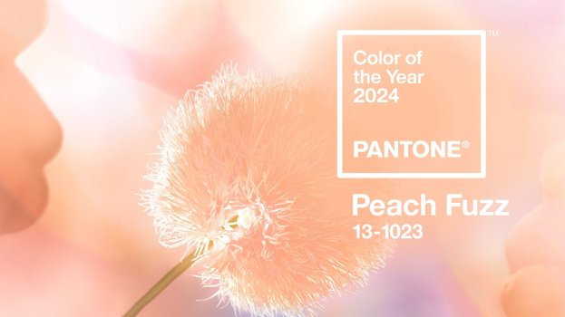 Pantone-color-of-the-year-Peach-Fuzz.jpeg