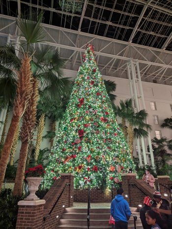 PXL_20231227_015437309.MP.jpg