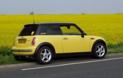 mojo-yellow.jpg