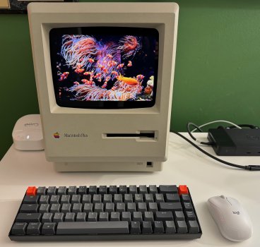 IMG_7307.jpeg