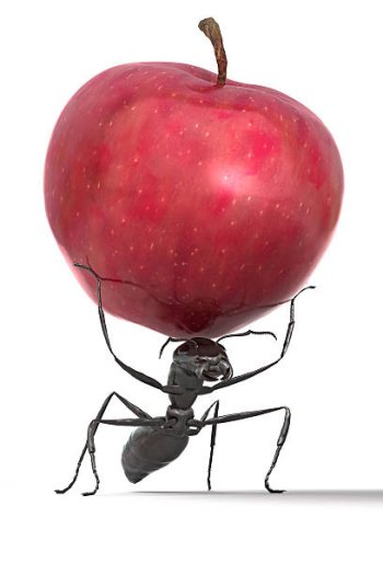 istockphoto-157335571-612x612.jpg