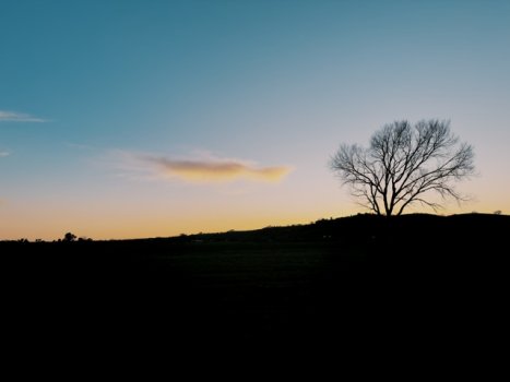 IMG_1418.jpeg