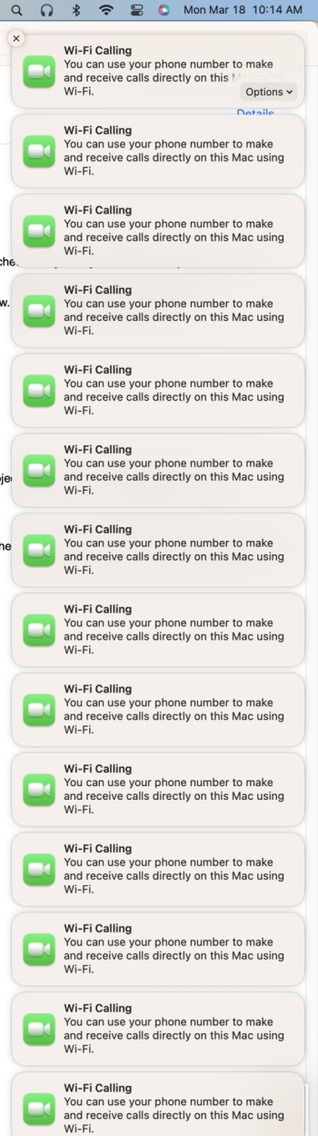 Screenshot 2024-03-18 at 10.14.57 AM.png
