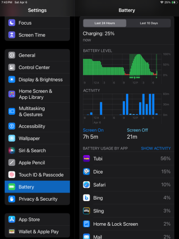 iPad-6_screen-on-time_44-percent-battery-health.png