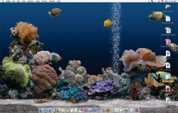 desktop.jpg