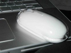 theMouseBT.jpg