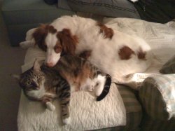 IMG_0029.JPG