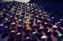 bbbbVenice-Beach-Calavera-Skulls.jpg