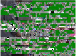 Picture 1.png