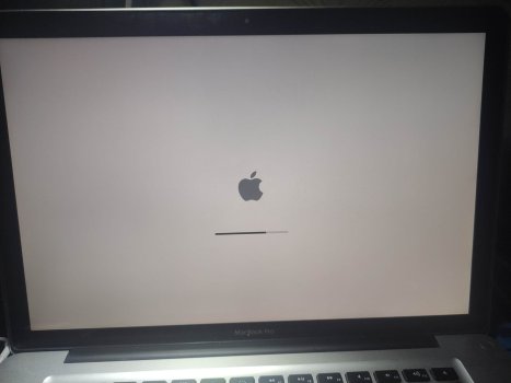 440431225_1075779466858737_3731319249220894549_n.jpg