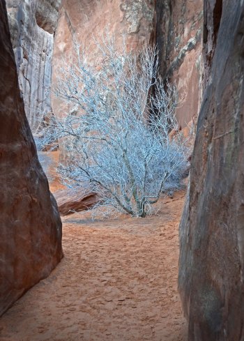 Gottlieb - ArchesNationalPark_8559 - resize.jpg