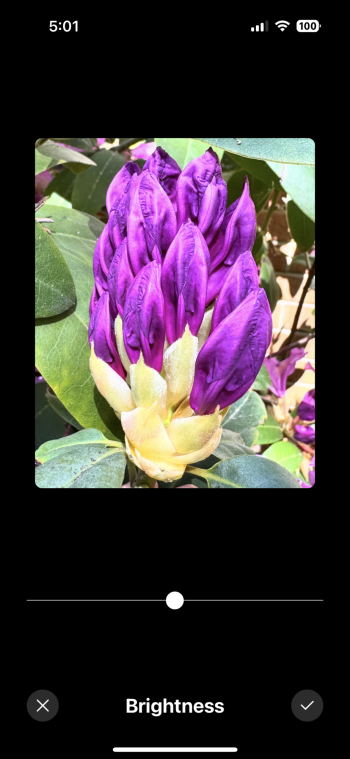 IMG_4102_1.PNG