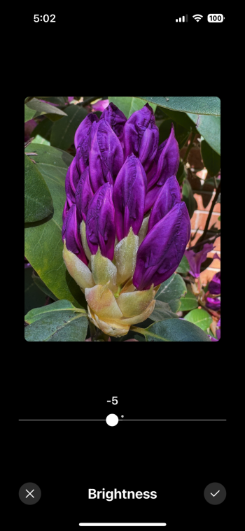 IMG_4104_3.PNG