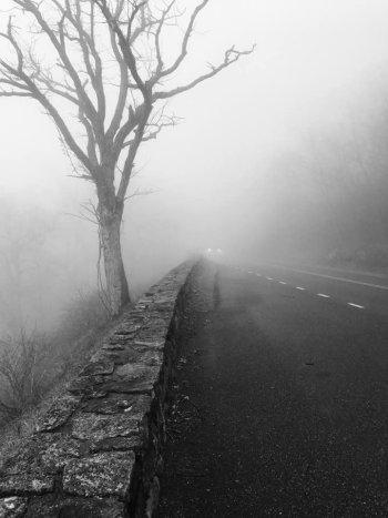 SkylineFog.jpg