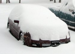 IMG_3258.jpg