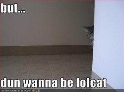 funny-pictures-your-cat-does-not-want-to-be-a-lolcat1.jpg