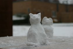 IMG_4921.JPG