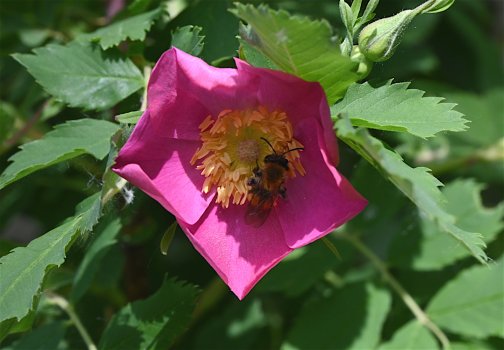 DSC_0354.jpg