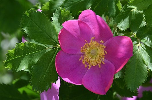 DSC_0359.jpg