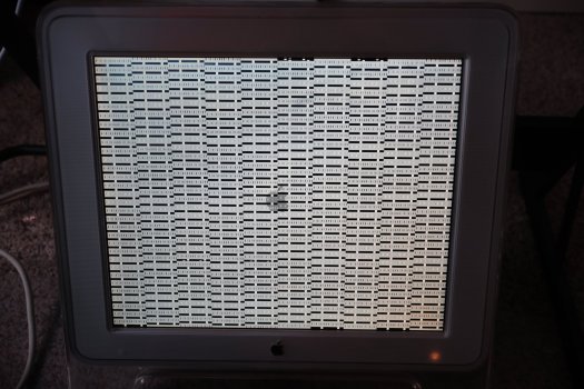 53836846456_bad80a7c9b_k.jpg