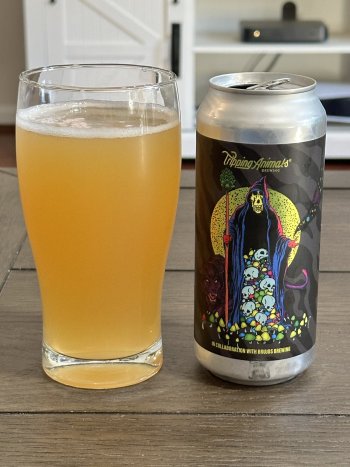 IMG_5004.jpeg IMG_5004.jpeg