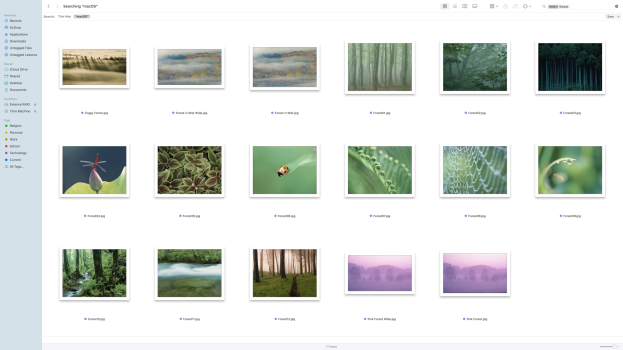 Screenshot 2024-08-12 at 4.01.14 PM.png