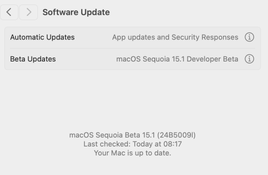 Screen Shot 2024-08-13 at 08.28.39.png